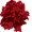 send flowers